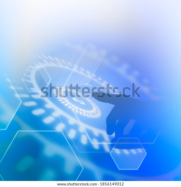 Rắn