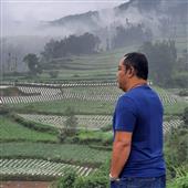 Giả