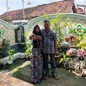Sự 