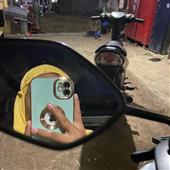 Giả