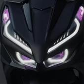 Gam