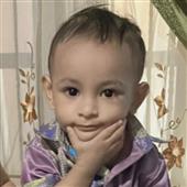 Giấ