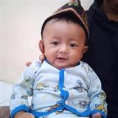 Trự