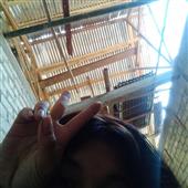 thờ