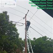 Bầu