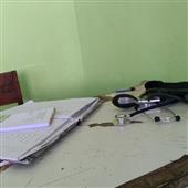 Giả