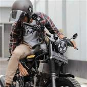 Bản