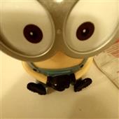 Quy