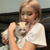 Kèo