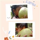 Rou