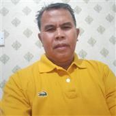 giả