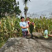 Gấp