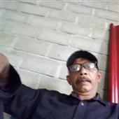 Gấu
