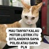 Chú