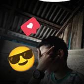 VỪN