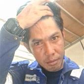 Bản