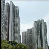 Xếp