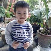 Hàn