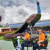 Cờ 