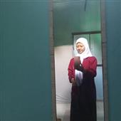 Hàn