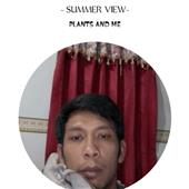 Dự 