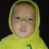 Bản