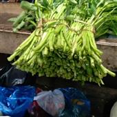 Nhậ