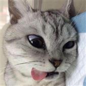 Tỷ 