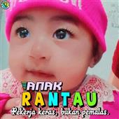 Pok