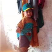 Trự