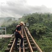 Săn