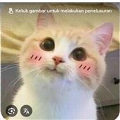 Bỏ 