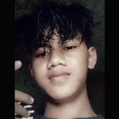 Dự 