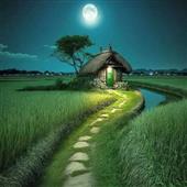 Tỷ 