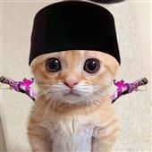 Vận