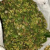 Căn