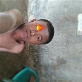 Đán