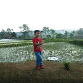 Guồ