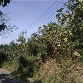 Nhữ