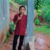 Bản