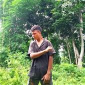Nổ 