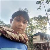 Apo