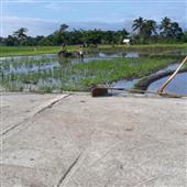 Tăn