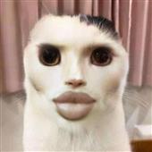 Soi