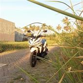 Trự