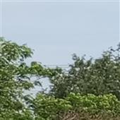 Vòn