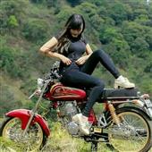 Bản