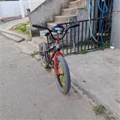 Câu