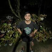 Anh