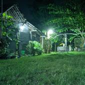 Dự 